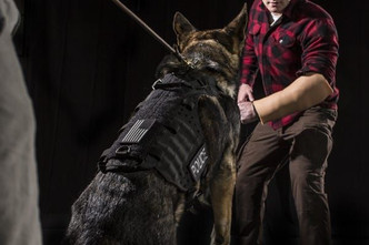 Ergonomic Canine Vest, ECV